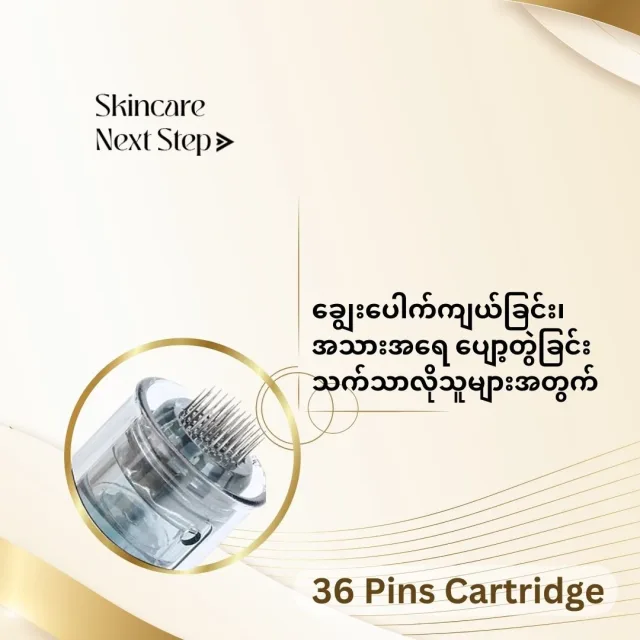 36 Pins Micro Needle