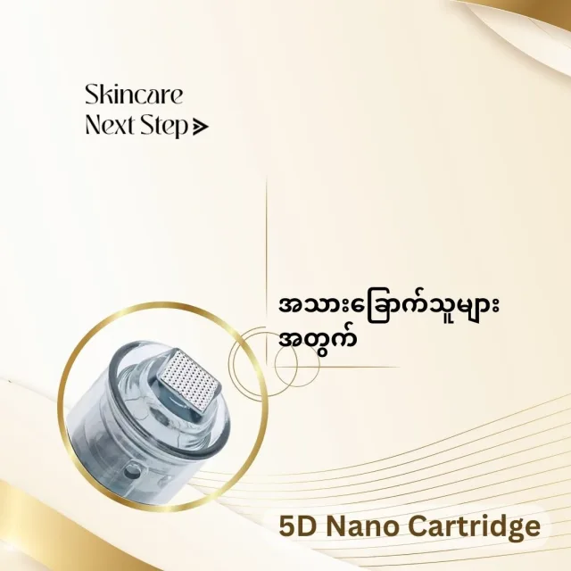 5D Nano Needle
