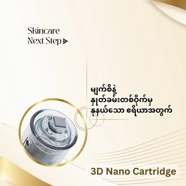 3D Nano Needle