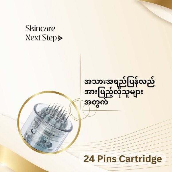 24 Pins Micro Needle