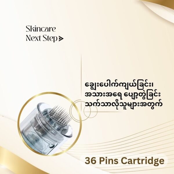 36 Pins Micro Needle